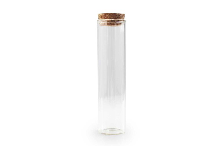 Glazen TRANSPARANT mini tube met deksel kurk