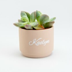 Bloempotje blush roze