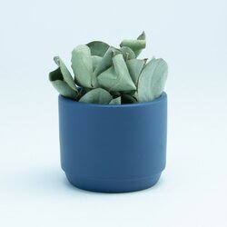 Bloempotje Marine blauw