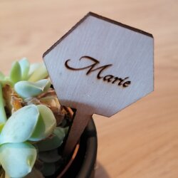 Houten plantenprikker