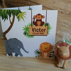 Geboortekaartje Victor