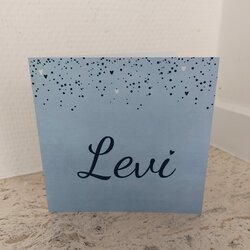 Geboortekaartje Levi