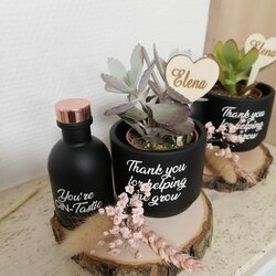 Gin + plantje (bedankje)