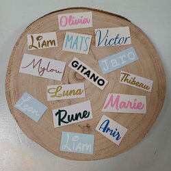 Vinyl naamsticker Large