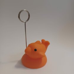 Fotohouder vis Oranje 