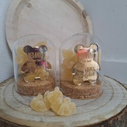 Stolp bere-leuke schooljaar