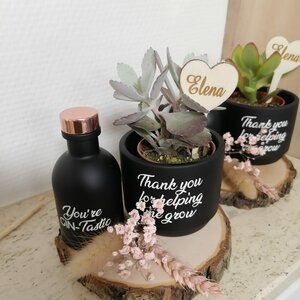 Gin + plantje (bedankje)